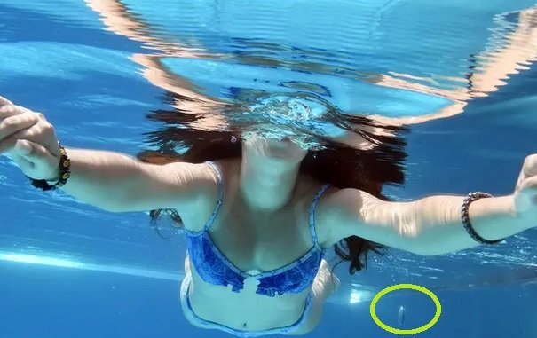 caca.jpg?resize=412,275 - En Espagne, cette nouvelle mode des ados lorsqu'ils sont dans une piscine va vous dégoûter