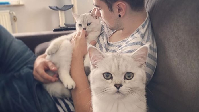 cat dads cute cats 90 5cb05d08b91dd  700 e1565361695901.jpg?fit=699%2C393&ssl=1&strip=all - 30 Pictures Of The Most Adorable Cats With Their Life Duo