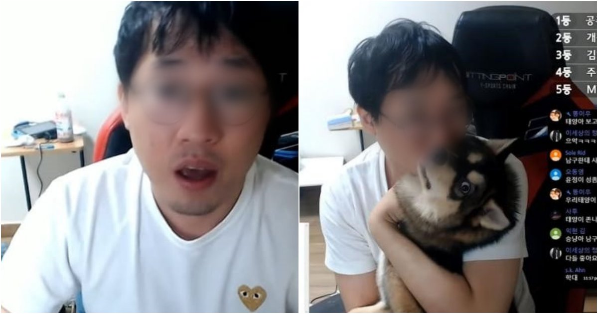 collage.png?resize=1200,630 - 시청자에게 '불매운동' 안한다며 '일본찬양' 노래부른 유튜버.jpg