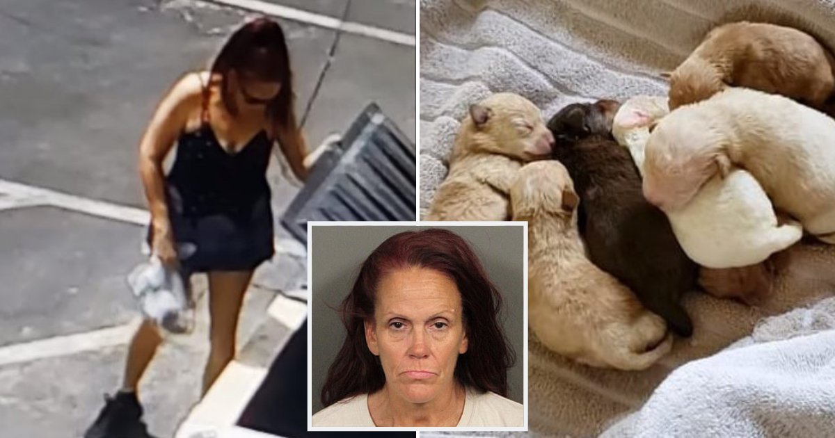 culwell4.png?resize=412,275 - 54-Year-Old Woman Who Dumped Seven Puppies In A Bin Is Sentenced To One Year In Jail