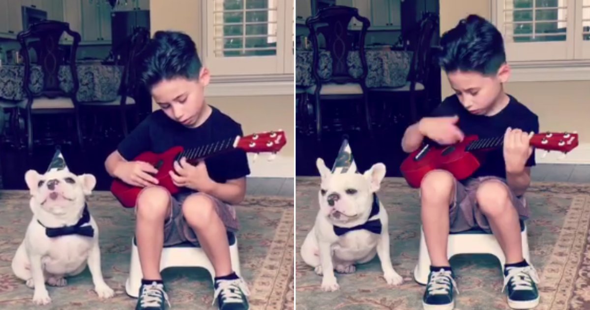 d 2 1.png?resize=1200,630 - Little Boy Entertained His Bulldog With Fantastic Music