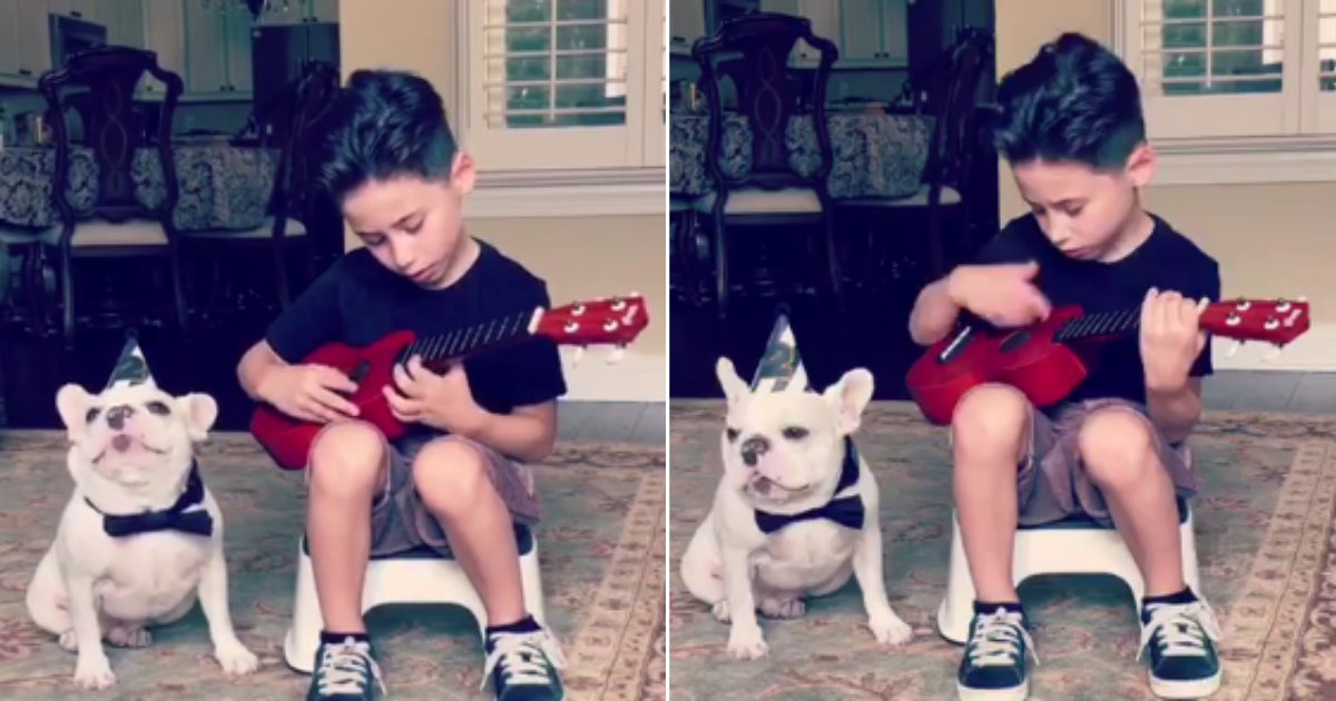 d 2 1.png?resize=412,232 - Little Boy Entertained His Bulldog With Fantastic Music