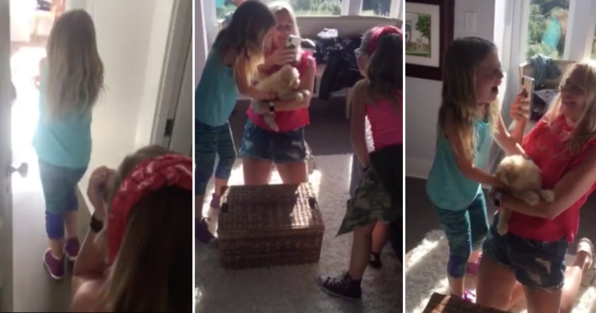 d 2 11.png?resize=412,275 - These Kids Got A Fantastic Puppy Surprise And Could Not Contain Their Joy