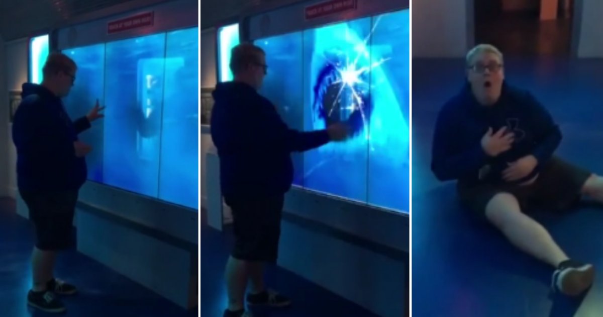 d 3 1 1.png?resize=412,275 - A Man Gets Scared Over A Shark Attack in The Museum