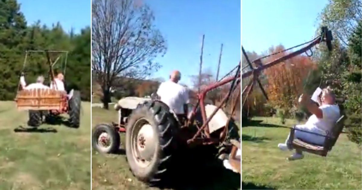 d 3 3.png?resize=412,275 - A Crazy Swing From a Fun-Loving Grandpa in Your Backyard Can Be Really Amazing