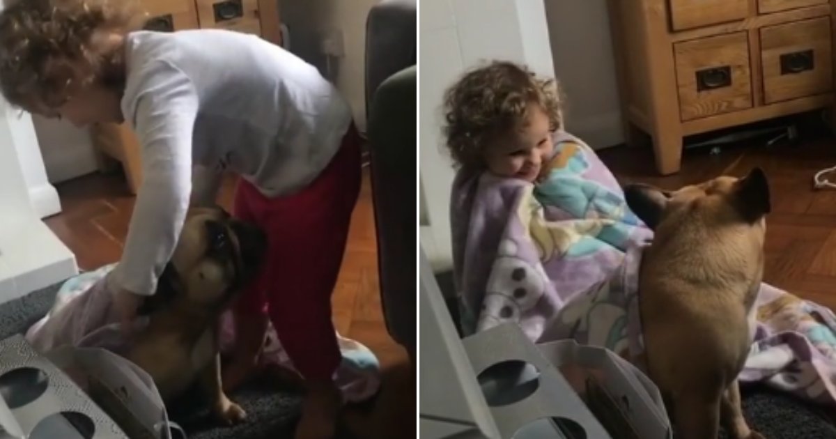 d 5 5.png?resize=412,275 - Little Girl Playing With Her Bulldog Is Too Cute