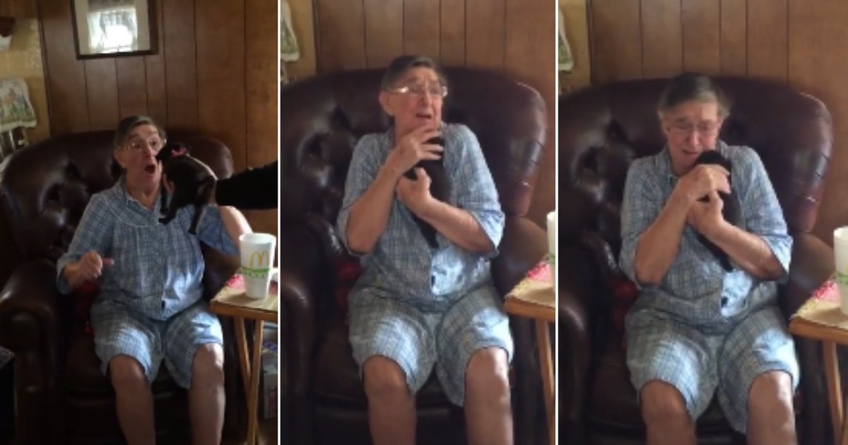 d 5 8.png?resize=1200,630 - Grandmother Got a Puppy For A Gift And Her Reaction Was Priceless