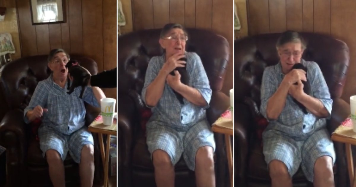d 5 8.png?resize=412,275 - Grandmother Got a Puppy For A Gift And Her Reaction Was Priceless