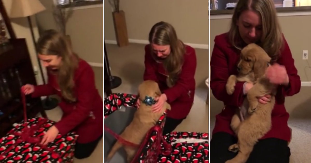 d 6 1.png?resize=1200,630 - Wife Breaks Down in Tears of Joy After Receiving a Golden Retriever for Christmas