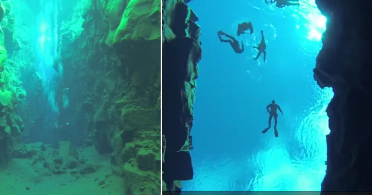 d 6 4.png?resize=1200,630 - Divers Were Able to Capture the Video of Pristine Waters Between Two Continents