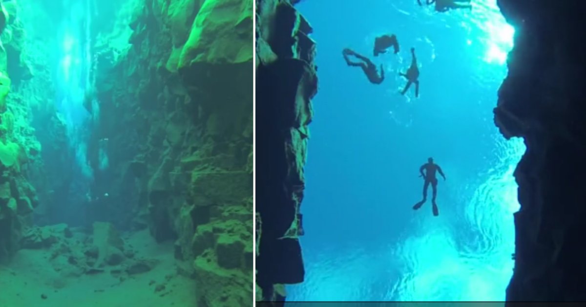 d 6 4.png?resize=412,275 - Divers Were Able to Capture the Video of Pristine Waters Between Two Continents