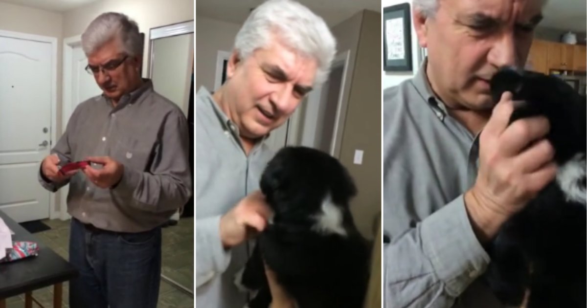 d 6 7.png?resize=412,275 - A Father Received a Puppy as His Surprise Birthday Gift And He Was Over the Moon