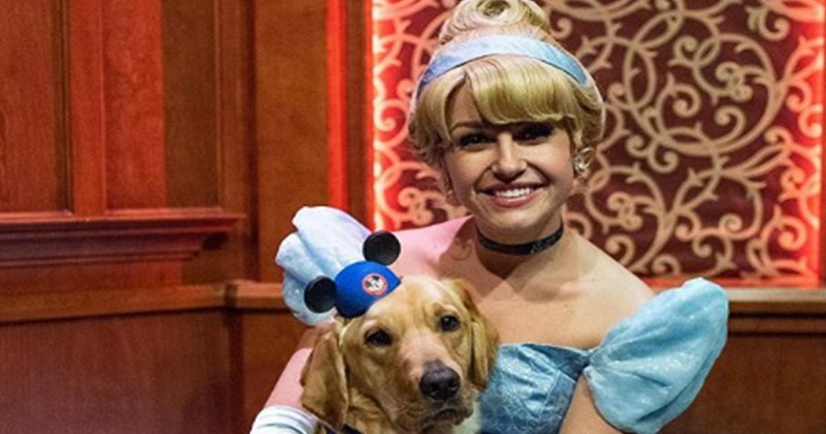 d3 14.jpg?resize=1200,630 - Disneyland: Un chien d'assistance en formation est tombé amoureux de Cendrillon