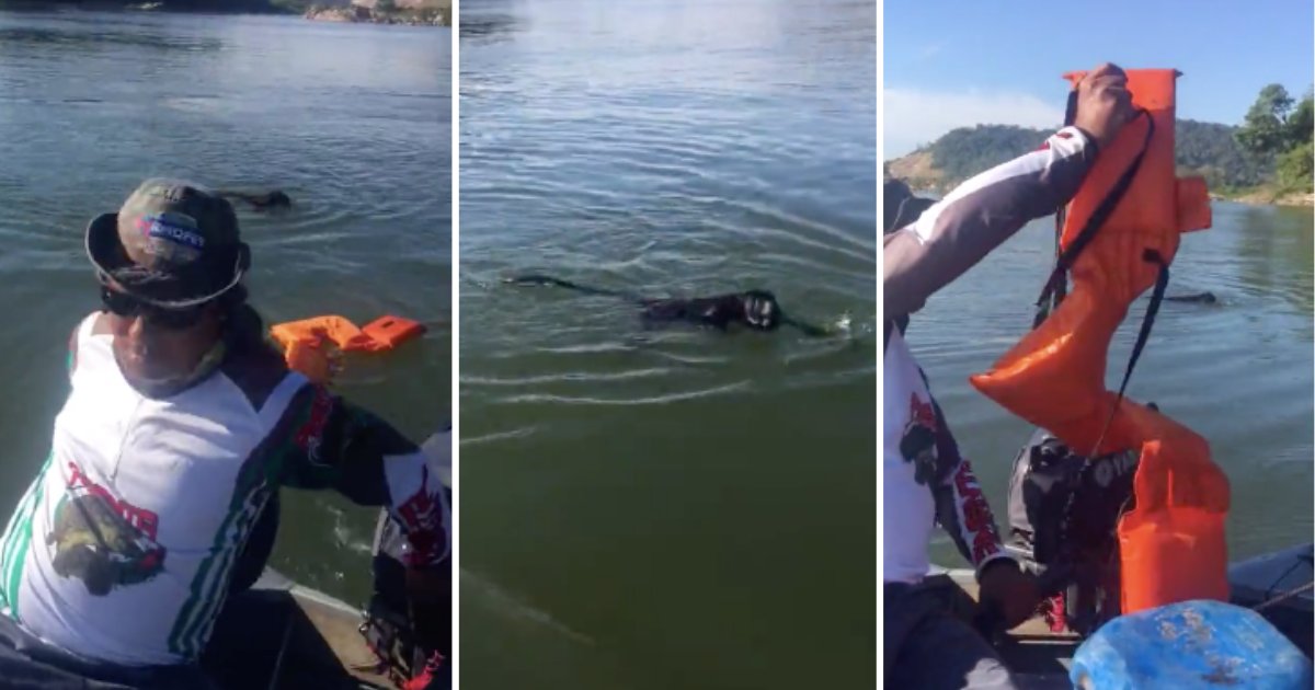 d3 3.png?resize=1200,630 - Monkey is Rescued by Fishermen Who Threw Lifejacket at Him