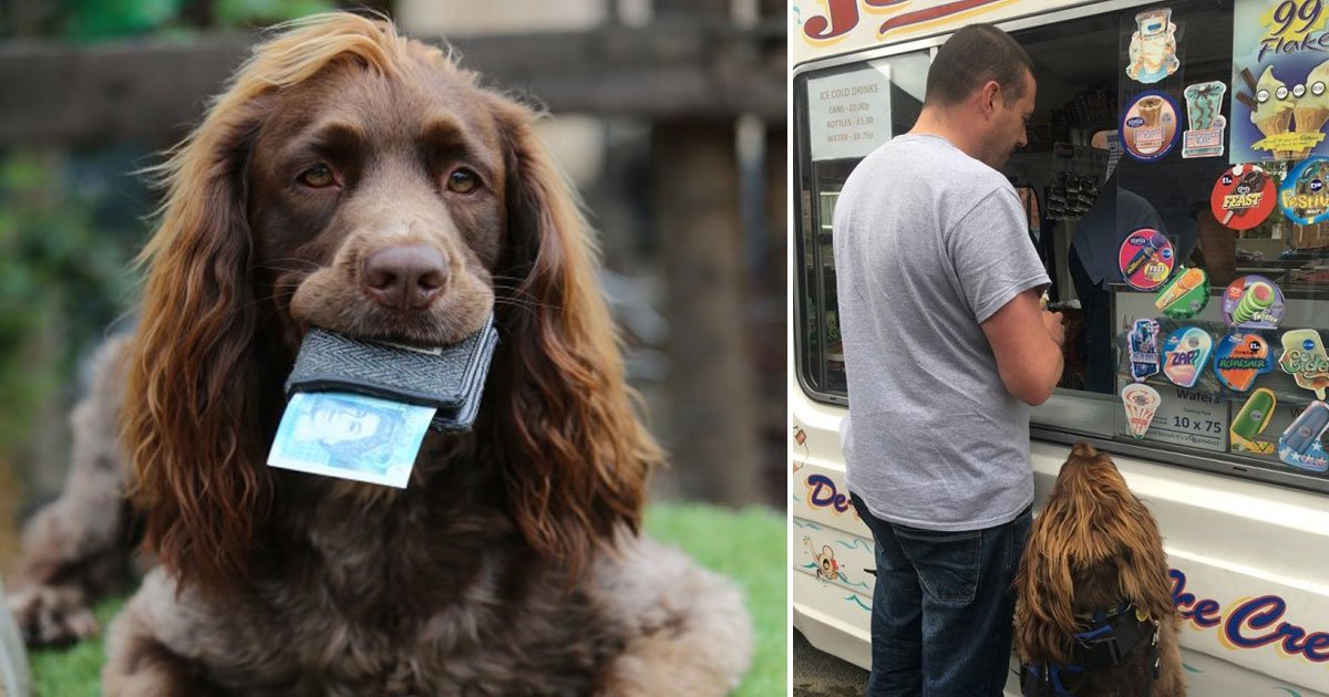 dog gets money.jpg?resize=1200,630 - Dog Gets £5 Pocket Money Every Friday And Has His Own Wallet To Keep The Cash In