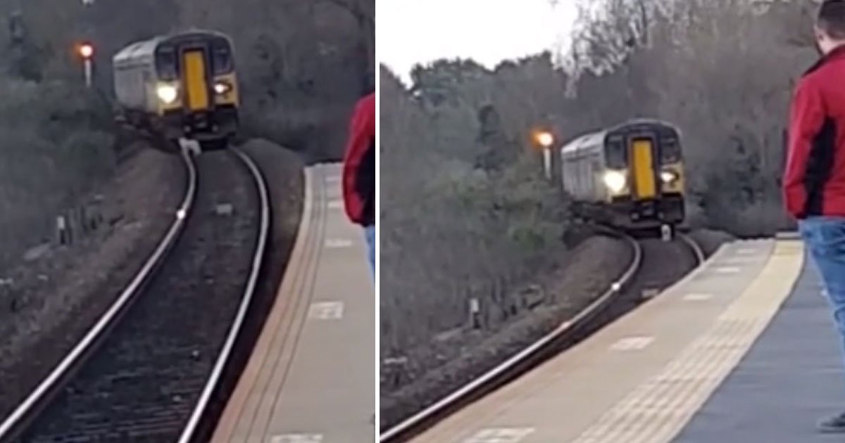 dog on train track.jpg?resize=412,275 - Dog Refused To Leave The Railway Track For Around Two Hours