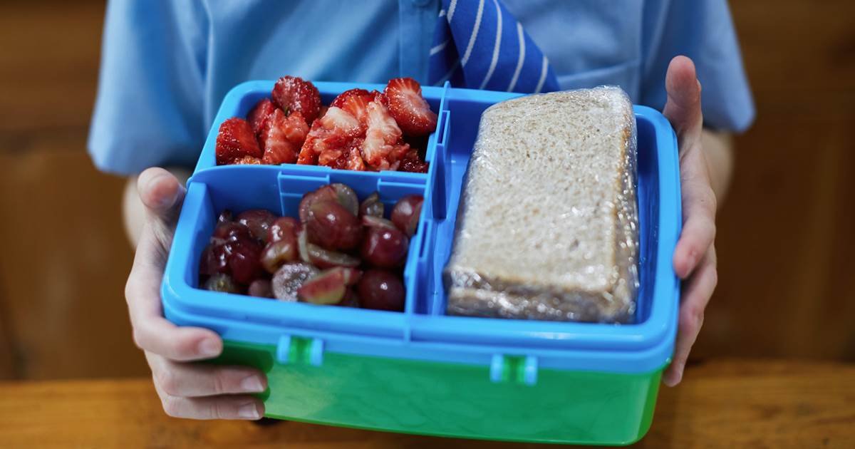 f.jpg?resize=412,275 - Children Should Pack Their Own Lunch And Here's How You Can Teach Them