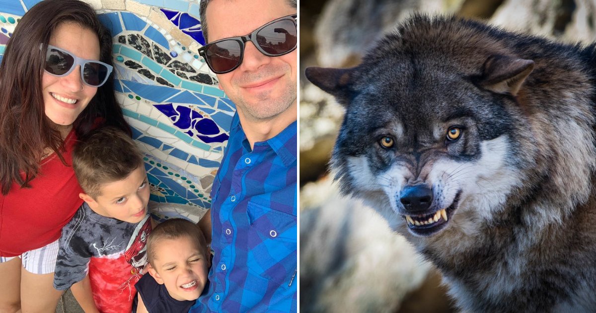 family3.png?resize=412,275 - Wife Recalls Horrifying Moment Husband Threw His Body Over Family To Save Them From Wolf