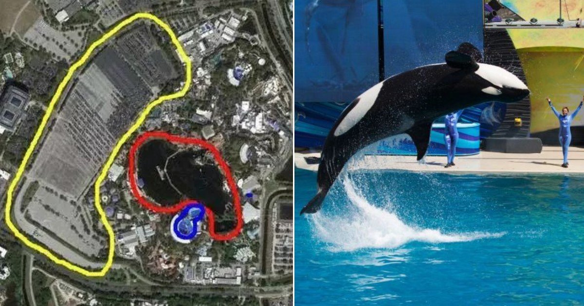 featured image 21.jpg?resize=1200,630 - Pictures Showing The Size Of SeaWorld Orca Pool Compared To The Recreational Lake Went Viral