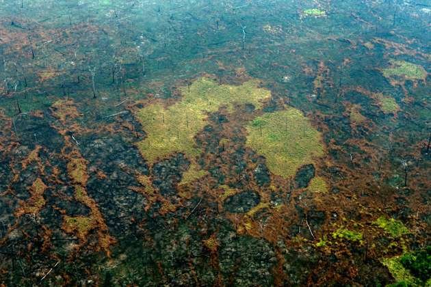 feux en amazonie.jpg?resize=412,275 - Les feux en Amazonie ne s'arrêtent plus et la situation est alarmante