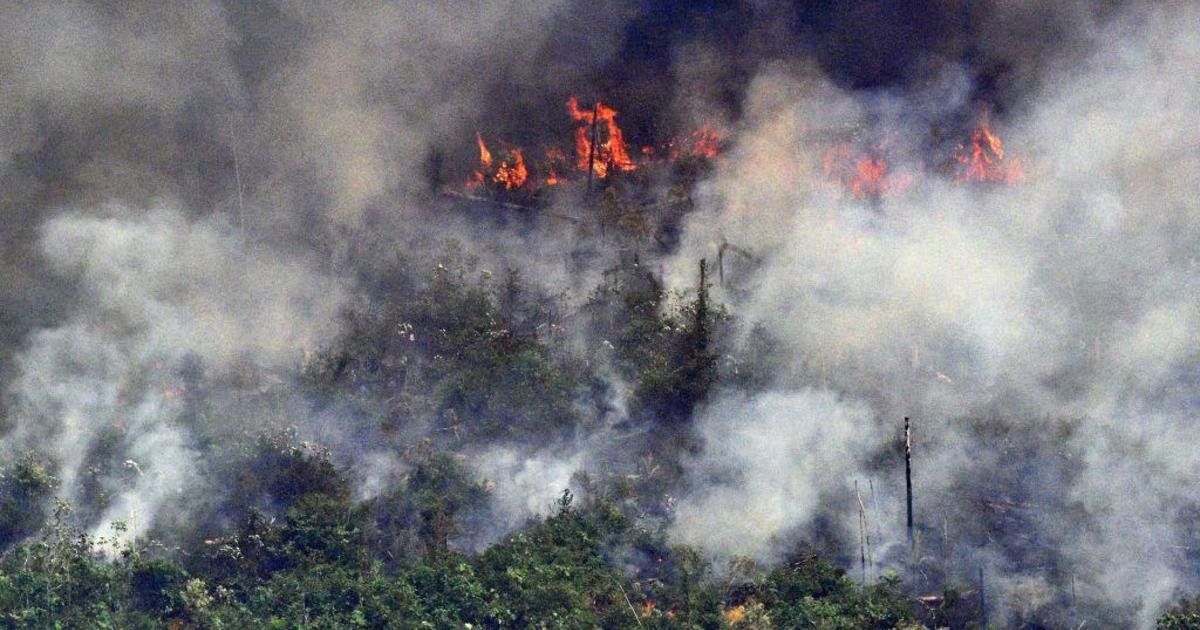 img 5d62bf6330395.png?resize=412,275 - Amazon Forest Fires Turned Sao Paulo Black In Daytime And Can Even Be Seen From Space