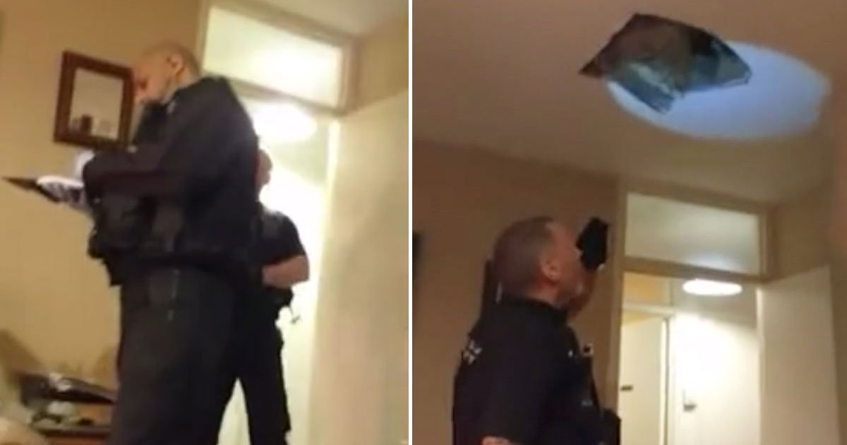 man falls ceiling police.jpg?resize=412,275 - Man - Who Was Hiding From Police In An Attic - Fell Through The Ceiling