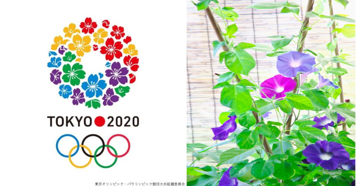 olympic.png?resize=1200,630 - 効果ナシ⁈　東京五輪で暑さ対策でアサガオの鉢…逆効果の可能性も