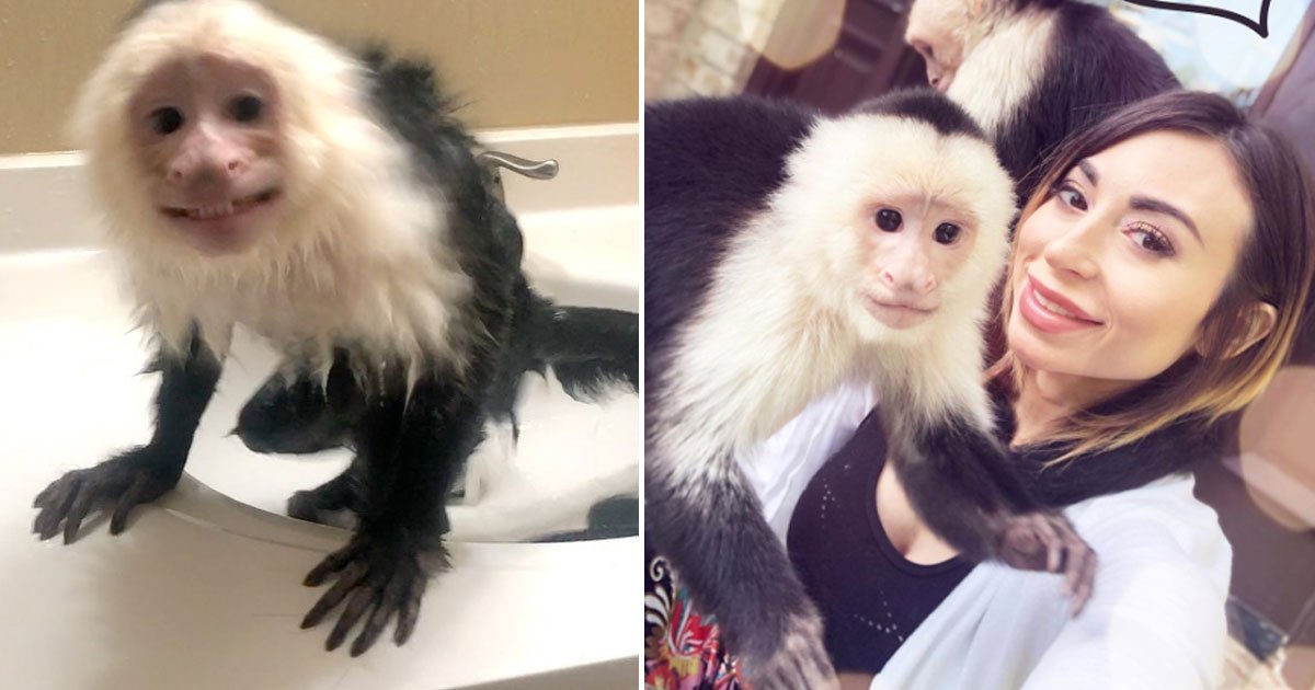 oman pet monkey.jpg?resize=412,275 - Woman - Who Treats Her Pet Monkey As Her Baby - Says She Is Unable To Date Because Of Her Monkey