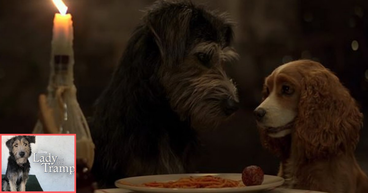 s 3 7.png?resize=1200,630 - A Shelter Rescue Dog Is the Star In the Disney Live-Action Film Lady and the Tramp