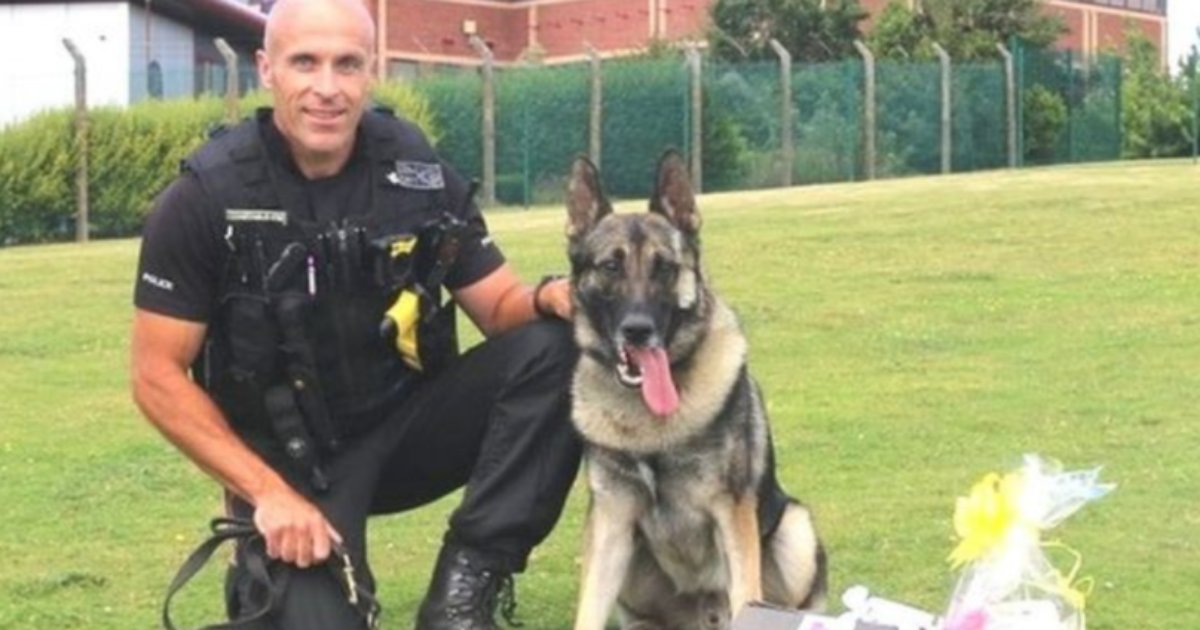 s 3.png?resize=412,275 - A Man Jailed After Harming Beloved Police Dog