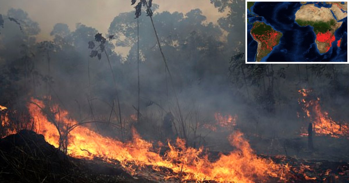 s1 11.png?resize=1200,630 - La NASA dévoile des images de kilomètres et de kilomètres de forêts en feu en Afrique