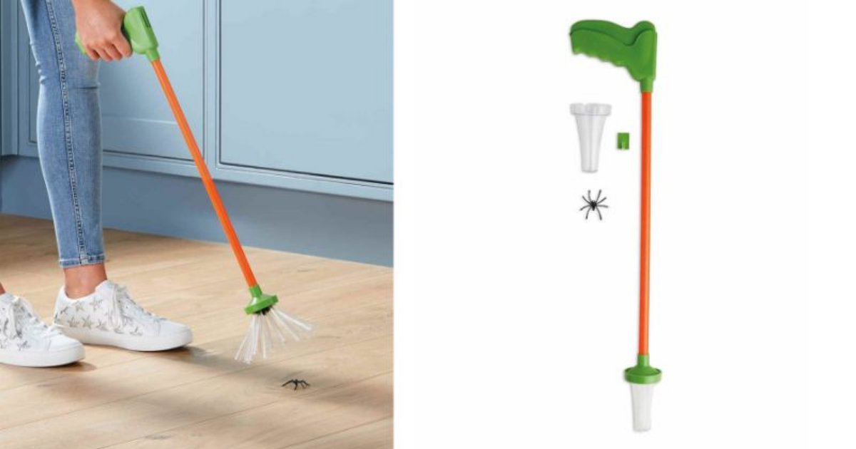 s2 8.png?resize=1200,630 - Aldi Has Launched Spider Catchers To Harmlessly Remove Those Creatures From Your Houses