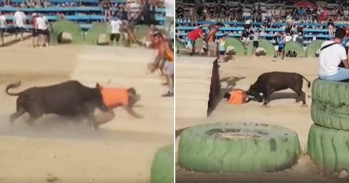s4 8.png?resize=1200,630 - Bull Claims Life at The Festival in Alicante In Tragic Accident