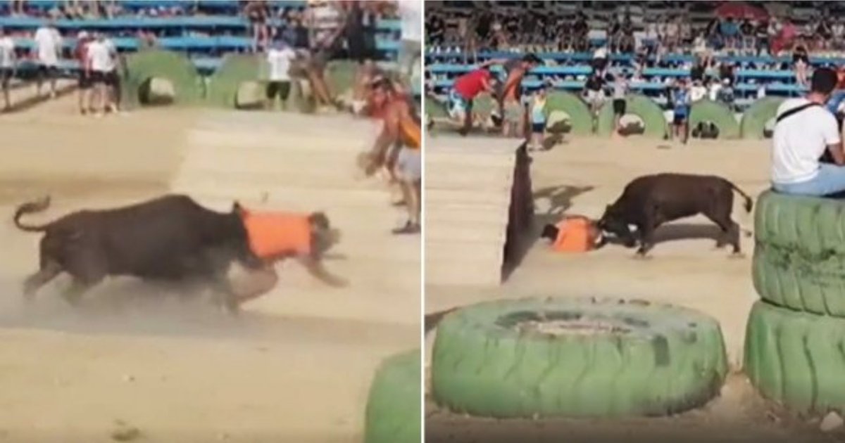 s4 8.png?resize=412,275 - Bull Claims Life at The Festival in Alicante In Tragic Accident