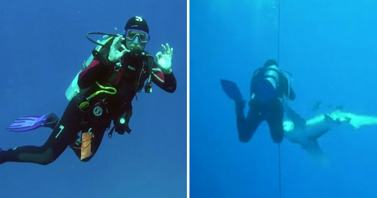 shark bit man.jpg?resize=412,275 - Oceanic Whitetip Shark Bit A Man On His Leg While His Brother-In-Law Filmed The Moment