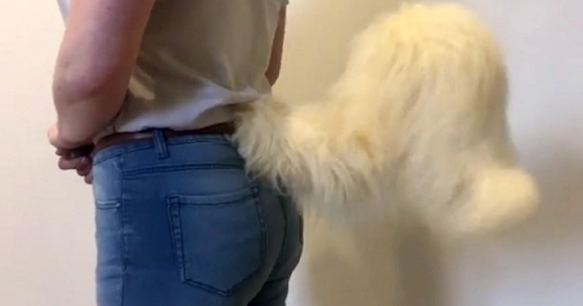 t3 1.jpg?resize=412,275 - These Cute Custom-Made Clip-On Tails Can Be Worn With Your Everyday Clothes