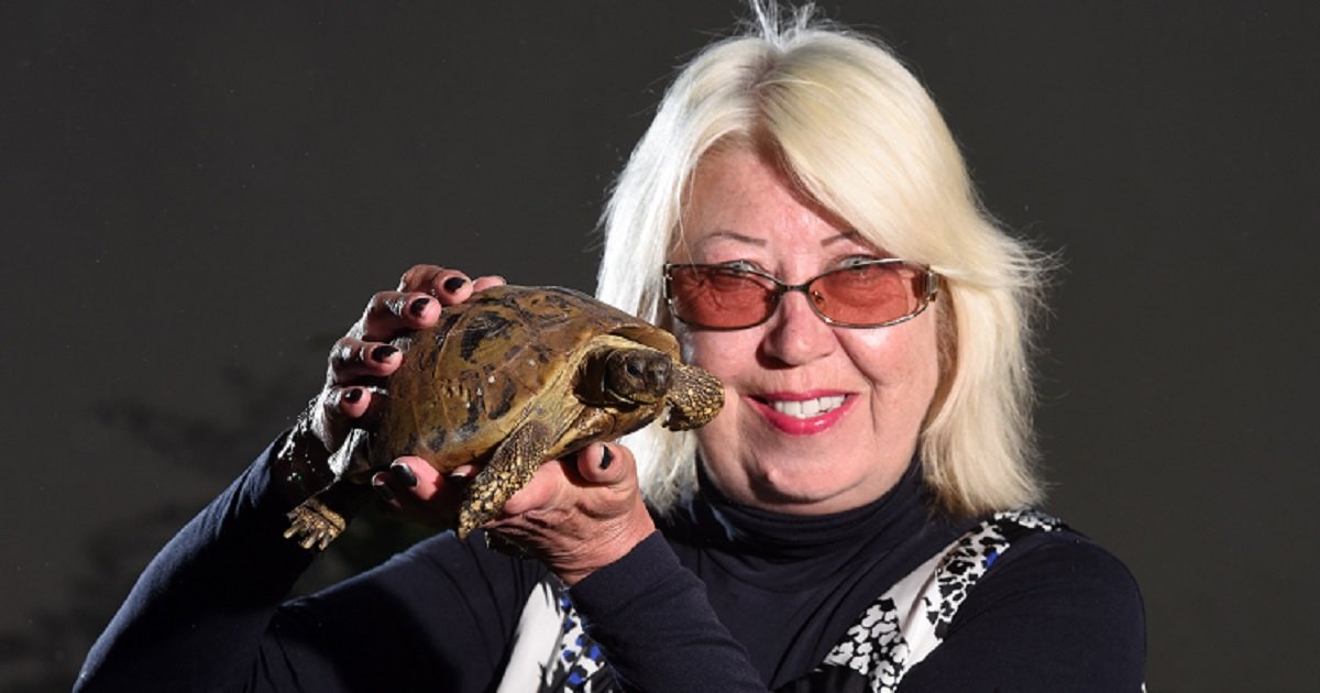 t3 5.jpg?resize=1200,630 - At 121 Years Old, This Turtle Is The World's Oldest Living Pet And May Live For Another 50 Years