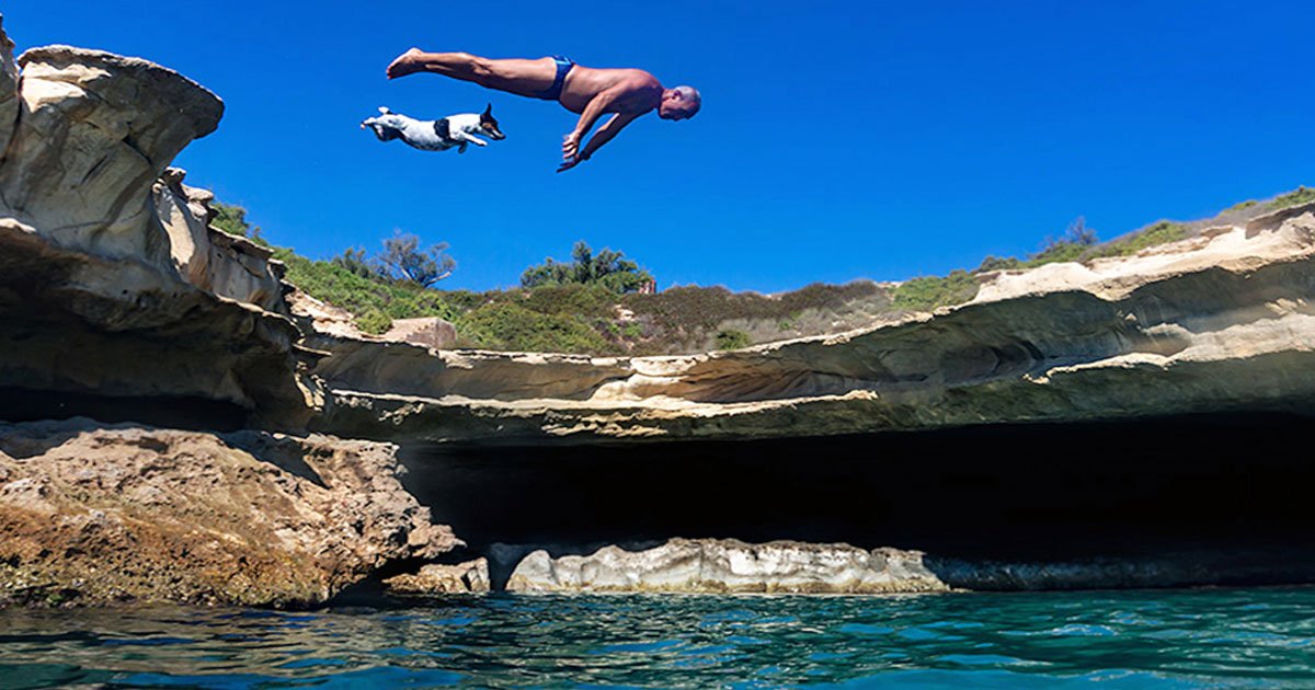 titti diving dog.jpg?resize=412,275 - Diving Dog Performed Synchronised Dives With Her Owner