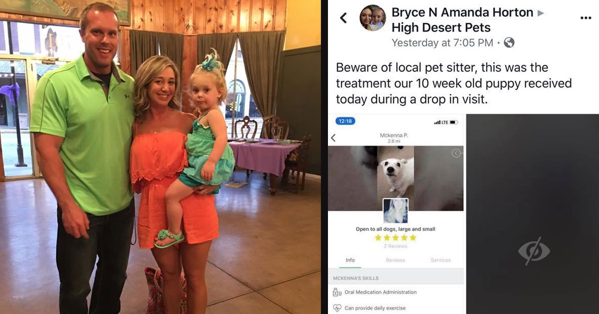 untitled 1 37.jpg?resize=412,275 - A Pet Sitter Hired Through An App Was Caught Throwing A Puppy To The Ground
