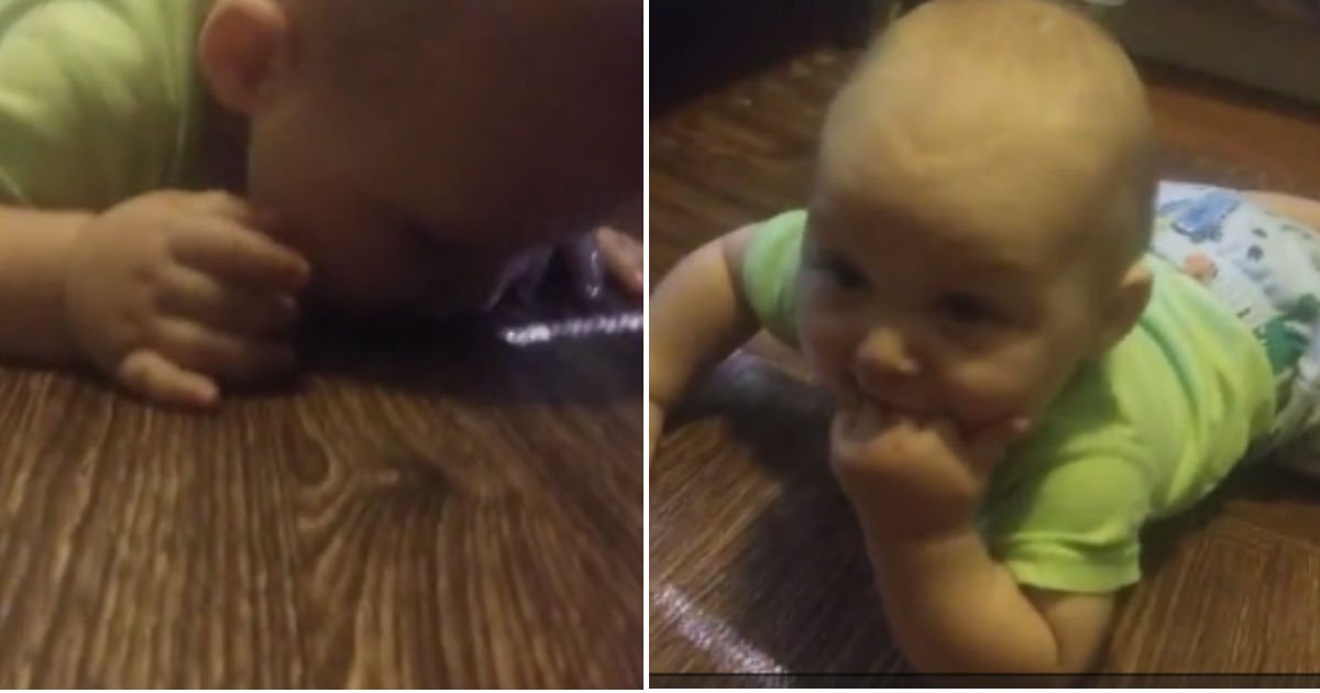 untitled 16.jpg?resize=1200,630 - "OO 먹고 싶어요"...7개월 된 아이가 계속 바닥에 입을 맞추는 이유 (영상)