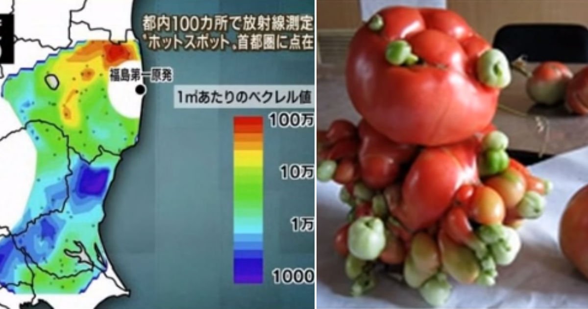 untitled 84.jpg?resize=1200,630 - "일본 정부가 언론 보도 막는다"...일본에서 제기된 '기형 동·식물'에 대한 충격적인 주장