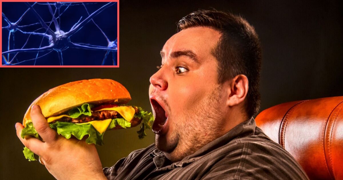 untitled design 1 6.png?resize=1200,630 - Scientists Have Invented A Chip That Zaps The Brain of the Overweight People When They Want to Over Eat