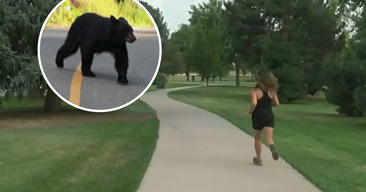 untitled design 10.png?resize=1200,630 - Un ours noir a été filmé en train de charger une femme sur un sentier de course populaire