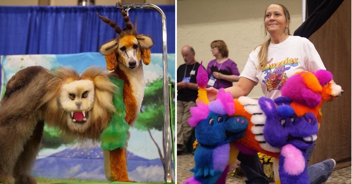 untitled design 15.png?resize=412,232 - Pet Groomers Display Their Dogs And Compete For The Title Of The Most Creative Design