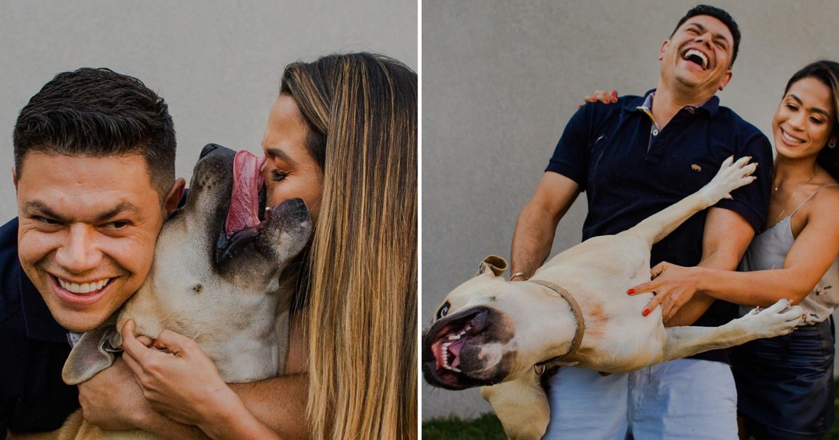 untitled design 31.png?resize=412,232 - Adorable Dog Photobombed Couple’s Pre-Wedding Photoshoot