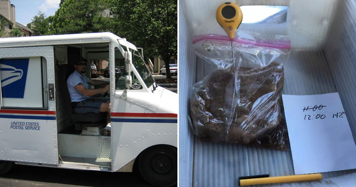 untitled design 32.png?resize=1200,630 - Postal Worker Cooked Steak Inside Hot Truck To Demonstrate Unbearable Working Conditions