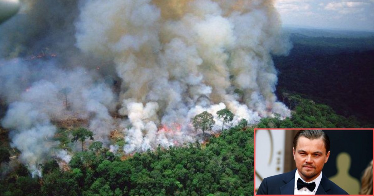 untitled design 7 27.png?resize=1200,630 - Leonardo DiCaprio a sensibilisé les gens au désastre en cours dans la forêt amazonienne