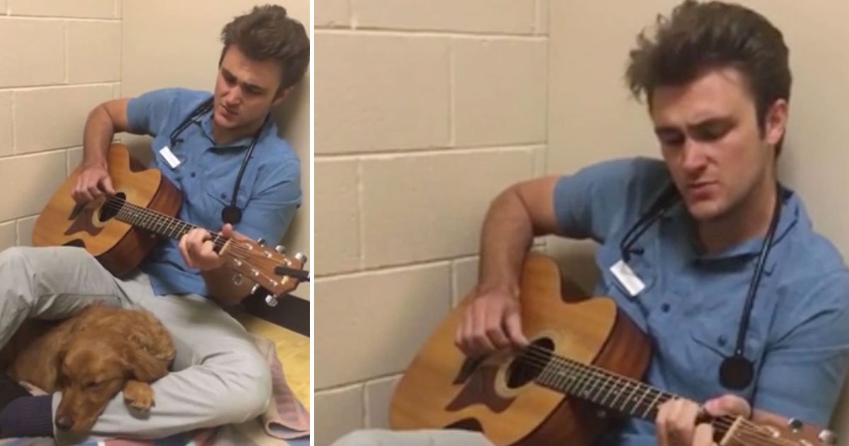 vet sings for dog.jpg?resize=412,275 - Veterinarian Comforted A Dog Before Her Surgery By Singing A Song To Her