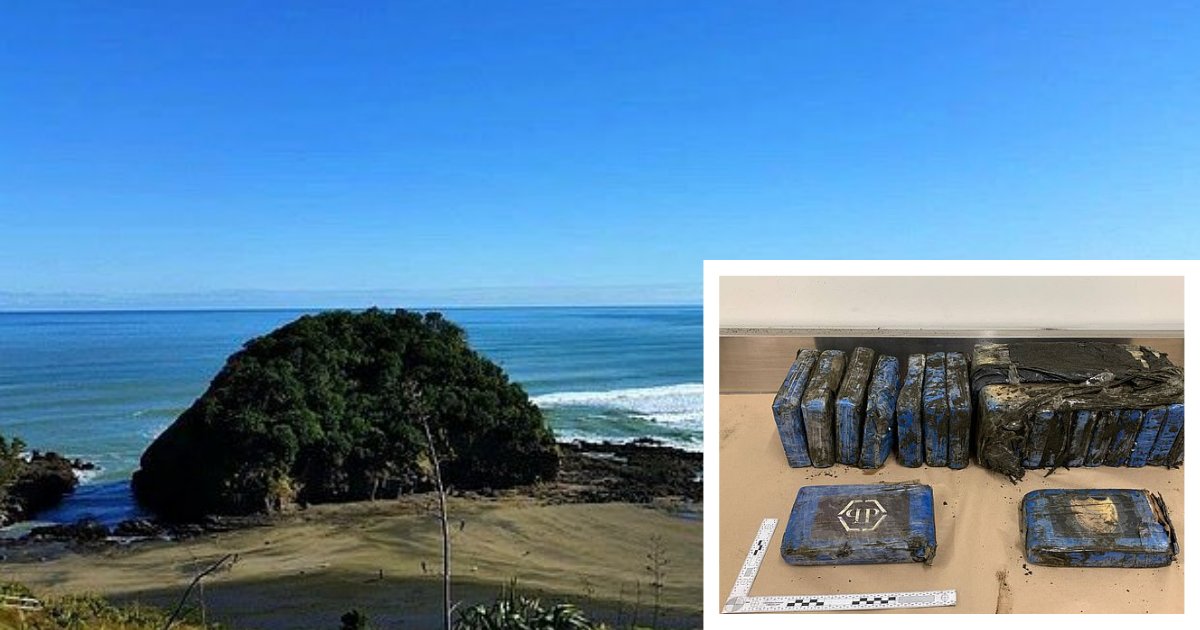 y 3 1.png?resize=1200,630 - La police d'Auckland a retrouvé sur une plage des paquets de cocaïne d'une valeur estimée à 2,7 millions d'euros