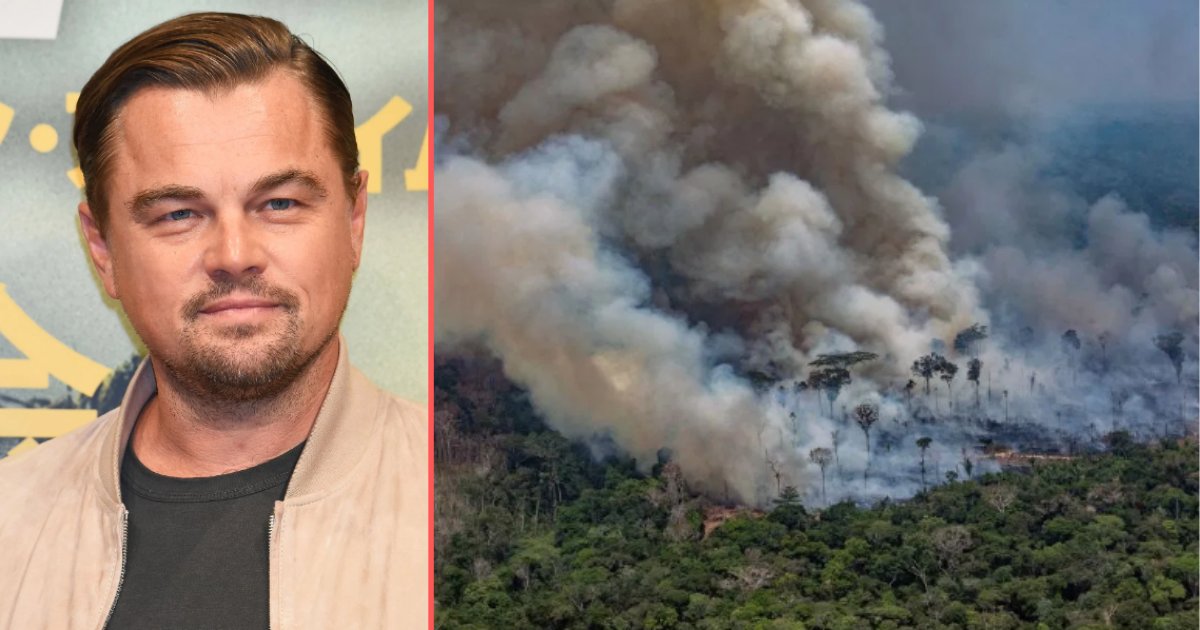 y2 10.png?resize=1200,630 - Leonardo DiCaprio Donated $5 Million to Save The Amazon Rainforest From Fuming Down to Ashes